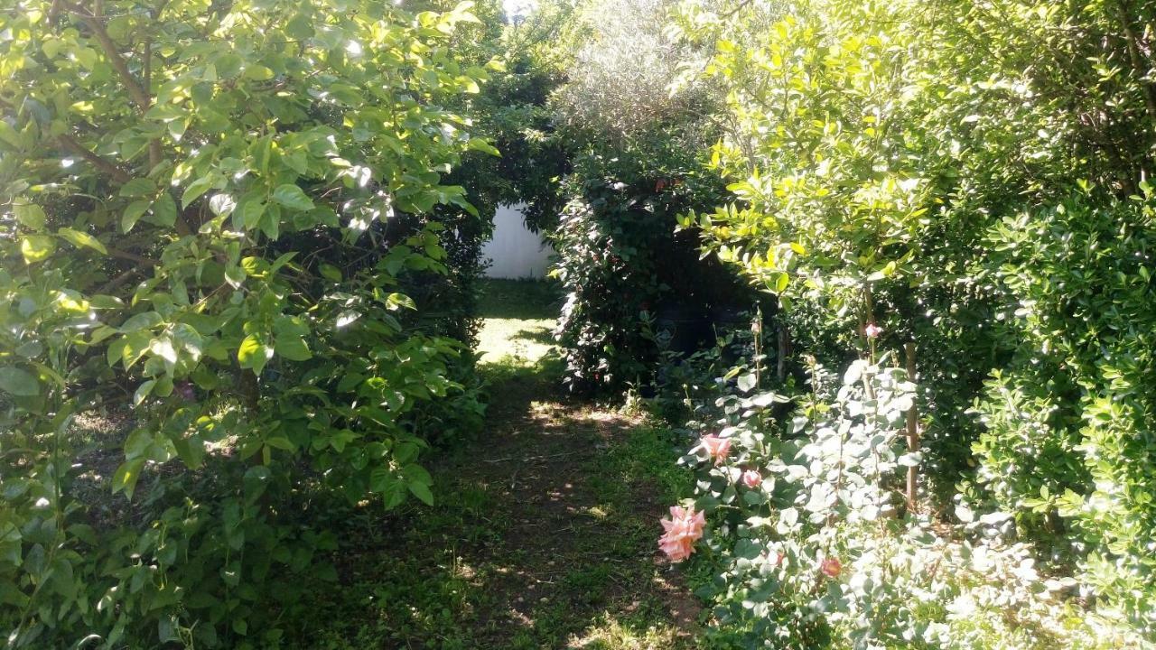 Casa Landim Villa Eksteriør billede